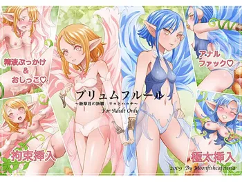 プリュムフルール～新草月の妖精 リゥとハゥナ～, 日本語