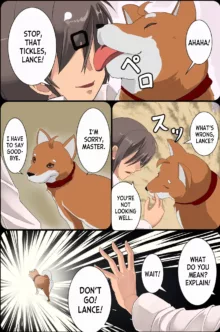 Mesu Inu Harem, English