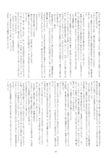 Leaflet, 日本語