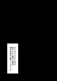 姉がデリヘルデビューした日, 日本語