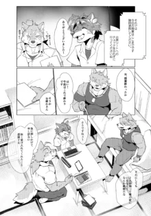 Tos-Tos-F-Ski Morenatsu Art Collection, 日本語