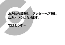 ポケ姦メイちゃん＆おまけ詰めあわせ, 日本語