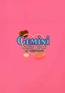 Gemini, 中文