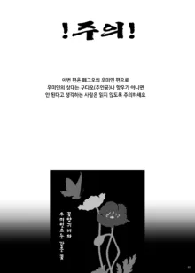 오늘밤 외로운 꽃양귀비는, 한국어