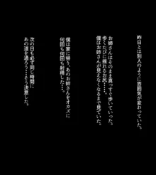 通りすがりの美人なお姉さんに僕は恋をした。, 日本語