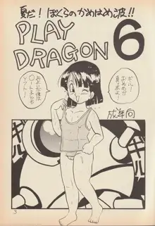 PLAY DRAGON 6, 日本語