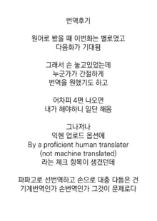 齊藤英梨の淫 | 사이토 에리의 음욕, 한국어