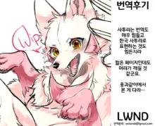 メスガキ謎犬をわからせたい, 한국어