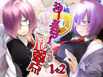 Shielder ni mo Aru Jakuten 1+2, 中文