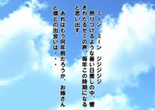 お姉さんとボクのえっちな夏休み, 日本語