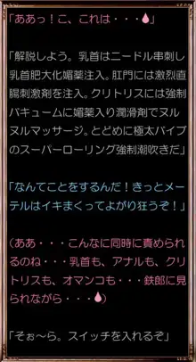 アソートハーレム メーテル アンド フランソワーズ, 日本語