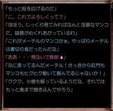 アソートハーレム メーテル アンド フランソワーズ, 日本語