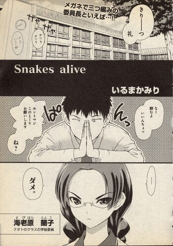 Snakes Alive, 日本語