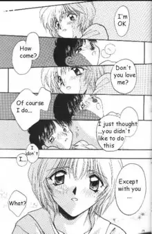 Neon Genesis of Evangelion Project E, English