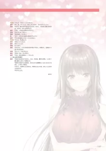 アマカノ2＋ ビジュアルファンブック, 日本語