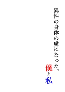 異性の身体の虜になった、僕と私, 日本語