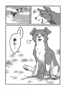 DOG.IN.CAGE コーンじゅういちばい, 日本語