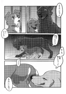 DOG.IN.CAGE コーンじゅういちばい, 日本語