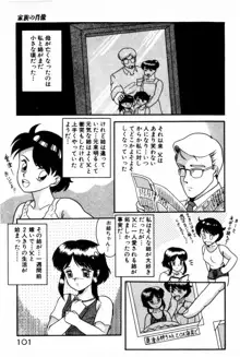 放課後ひみつ講座, 日本語