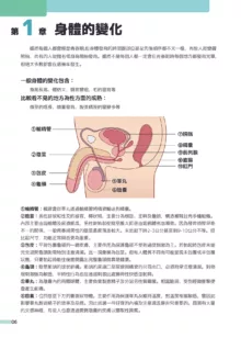 小健老師的健♂康♂教♂育♂, 中文