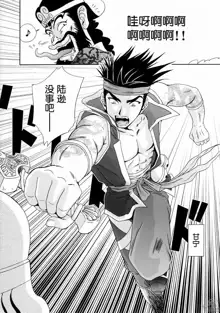 In Sangoku Musou Rikuson Gaiden, 中文