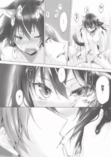 Kemomimi no Lycoris 1 (decensored), 中文