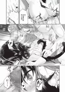 Kemomimi no Lycoris 2 (decensored), 中文