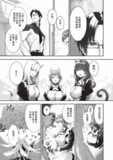 Kemomimi no Lycoris 2 (decensored), 中文