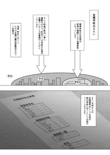 全裸学校 交換留学編, 日本語