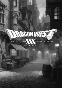 ドラゴンクエストXXX, 日本語