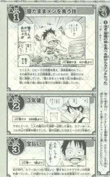 One Piece 500 Quiz Book, 日本語