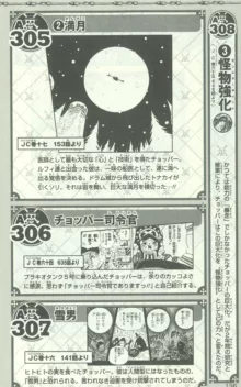 One Piece 500 Quiz Book, 日本語