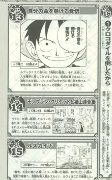 One Piece 500 Quiz Book, 日本語