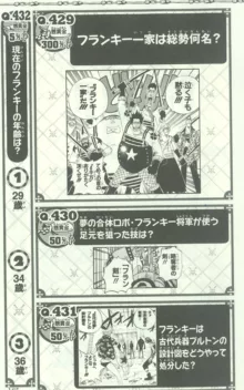 One Piece 500 Quiz Book, 日本語