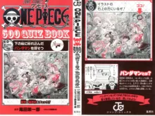 One Piece 500 Quiz Book, 日本語