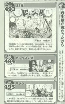 One Piece 500 Quiz Book, 日本語