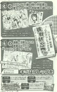 One Piece 500 Quiz Book, 日本語