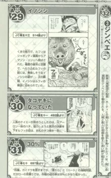 One Piece 500 Quiz Book, 日本語