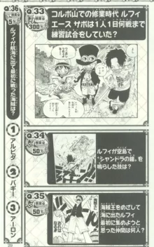 One Piece 500 Quiz Book, 日本語