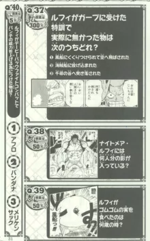 One Piece 500 Quiz Book, 日本語