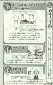 One Piece 500 Quiz Book, 日本語