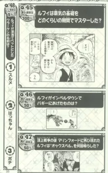 One Piece 500 Quiz Book, 日本語