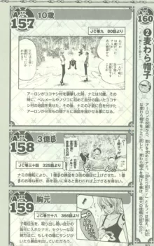 One Piece 500 Quiz Book, 日本語