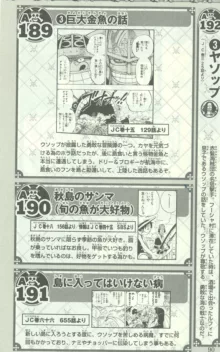 One Piece 500 Quiz Book, 日本語