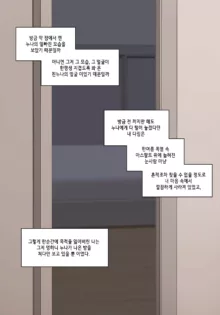 눈나 1-8, 한국어