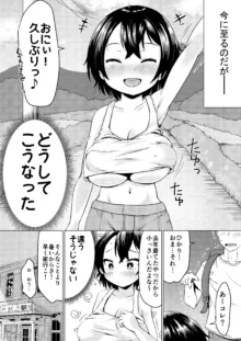 イナカでイトコとイイコトする夏。, 日本語