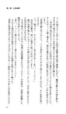 戦乙女ヴァルキリー 「あなたにすべてを捧げます」 <女神被辱編>, 日本語