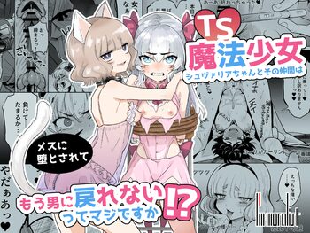 TS魔法少女シュヴァリアちゃんとその仲間はメスに堕とされてもう男に戻れないってマジですか!, 日本語