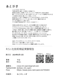 R.S.I.社技術検証実験報告, 日本語