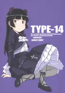 TYPE-14, 日本語